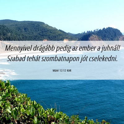 Picture 06 - Máté 12:12 KAR - Mennyivel drágább pedig az ember a juhnál! - Bible Verse Picture
