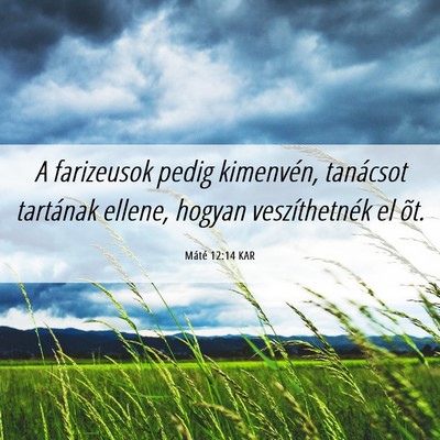 Picture 06 - Máté 12:14 KAR - A farizeusok pedig kimenvén, tanácsot tartának - Bible Verse Picture