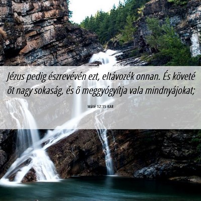 Picture 06 - Máté 12:15 KAR - Jézus pedig észrevévén ezt, eltávozék - Bible Verse Picture