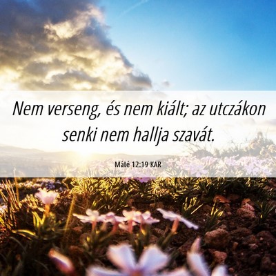 Picture 06 - Máté 12:19 KAR - Nem verseng, és nem kiált; az utczákon senki - Bible Verse Picture