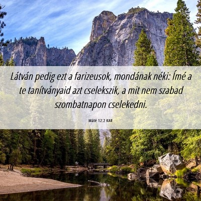 Picture 06 - Máté 12:2 KAR - Látván pedig ezt a farizeusok, mondának néki: - Bible Verse Picture