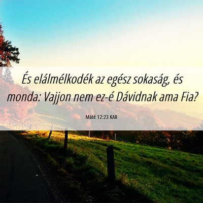 Picture 06 - Máté 12:23 KAR - És elálmélkodék az egész sokaság, és - Bible Verse Picture