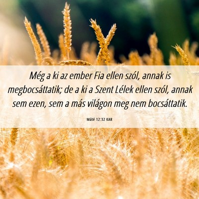 Picture 06 - Máté 12:32 KAR - Még a ki az ember Fia ellen szól, annak is - Bible Verse Picture