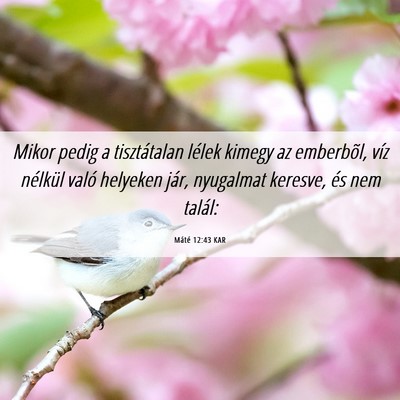 Picture 06 - Máté 12:43 KAR - Mikor pedig a tisztátalan lélek kimegy az - Bible Verse Picture