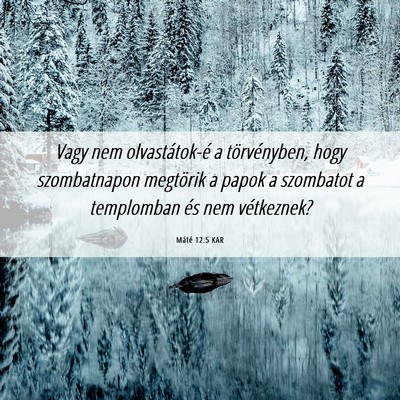 Picture 06 - Máté 12:5 KAR - Vagy nem olvastátok-é a törvényben, hogy - Bible Verse Picture