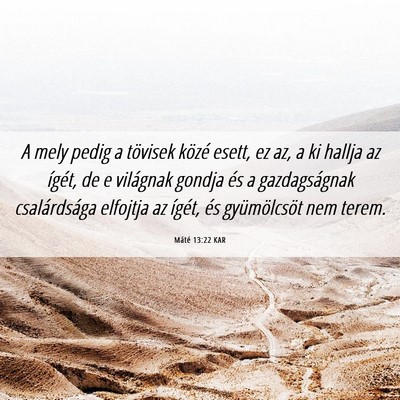 Picture 06 - Máté 13:22 KAR - A mely pedig a tövisek közé esett, ez az, a ki - Bible Verse Picture