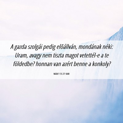 Picture 06 - Máté 13:27 KAR - A gazda szolgái pedig elõállván, mondának - Bible Verse Picture