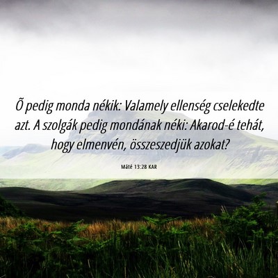 Picture 06 - Máté 13:28 KAR - Õ pedig monda nékik: Valamely ellenség - Bible Verse Picture