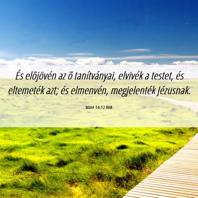 Picture 06 - Máté 14:12 KAR - És elõjövén az õ tanítványai, elvivék a - Bible Verse Picture