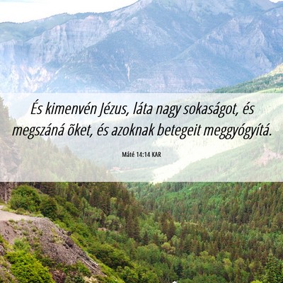 Picture 06 - Máté 14:14 KAR - És kimenvén Jézus, láta nagy sokaságot, és - Bible Verse Picture