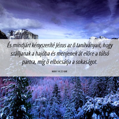 Picture 06 - Máté 14:22 KAR - És mindjárt kényszeríté Jézus az õ - Bible Verse Picture