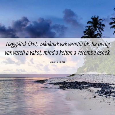 Picture 06 - Máté 15:14 KAR - Hagyjátok õket; vakoknak vak vezetõi õk: ha - Bible Verse Picture