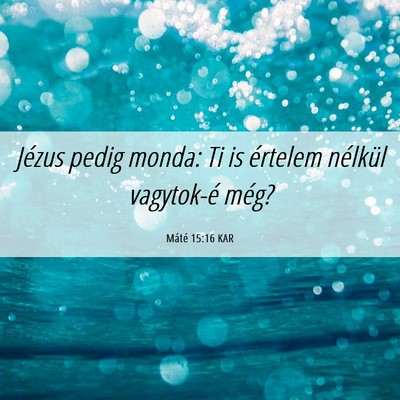Picture 06 - Máté 15:16 KAR - Jézus pedig monda: Ti is értelem nélkül - Bible Verse Picture