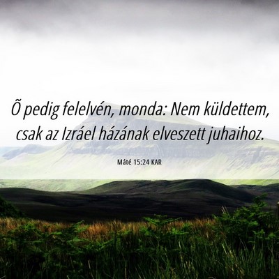 Picture 06 - Máté 15:24 KAR - Õ pedig felelvén, monda: Nem küldettem, csak - Bible Verse Picture