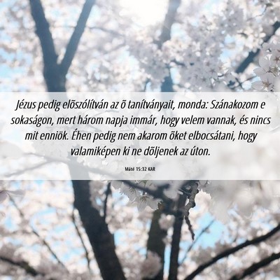 Picture 06 - Máté 15:32 KAR - Jézus pedig elõszólítván az õ - Bible Verse Picture