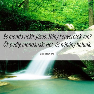 Picture 06 - Máté 15:34 KAR - És monda nékik Jézus: Hány kenyeretek van? - Bible Verse Picture