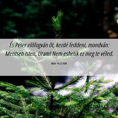 Picture 06 - Máté 16:22 KAR - És Péter elõfogván õt, kezdé feddeni, - Bible Verse Picture