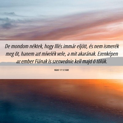 Picture 06 - Máté 17:12 KAR - De mondom néktek, hogy Illés immár eljött, - Bible Verse Picture