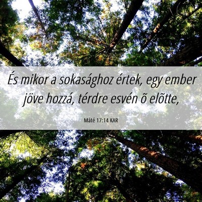 Picture 06 - Máté 17:14 KAR - És mikor a sokasághoz értek, egy ember jöve - Bible Verse Picture