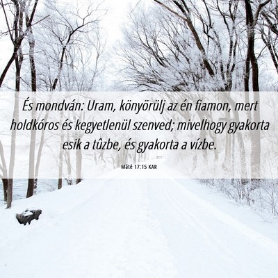 Picture 06 - Máté 17:15 KAR - És mondván: Uram, könyörülj az én fiamon, - Bible Verse Picture