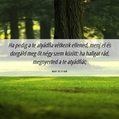 Picture 06 - Máté 18:15 KAR - Ha pedig a te atyádfia vétkezik ellened, menj - Bible Verse Picture