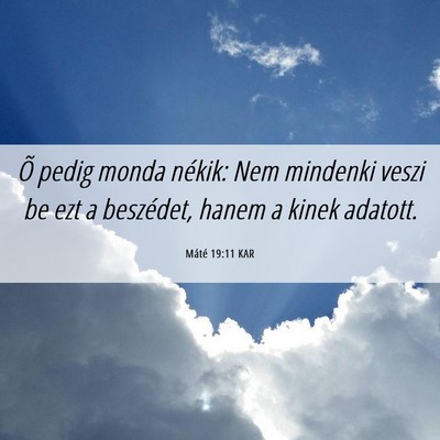 Picture 06 - Máté 19:11 KAR - Õ pedig monda nékik: Nem mindenki veszi be ezt - Bible Verse Picture