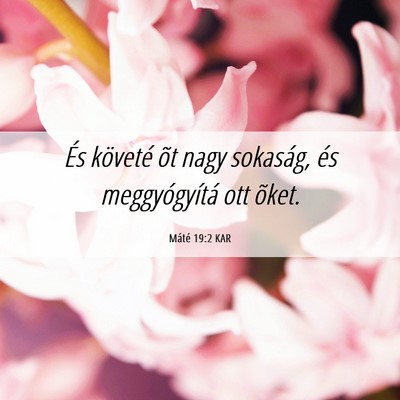 Picture 06 - Máté 19:2 KAR - És követé õt nagy sokaság, és - Bible Verse Picture