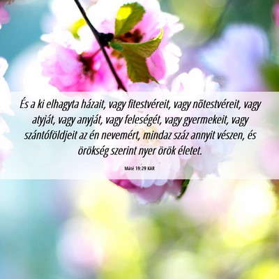 Picture 06 - Máté 19:29 KAR - És a ki elhagyta házait, vagy fitestvéreit, - Bible Verse Picture
