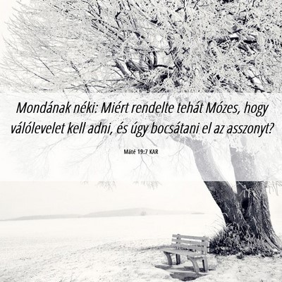 Picture 06 - Máté 19:7 KAR - Mondának néki: Miért rendelte tehát Mózes, - Bible Verse Picture
