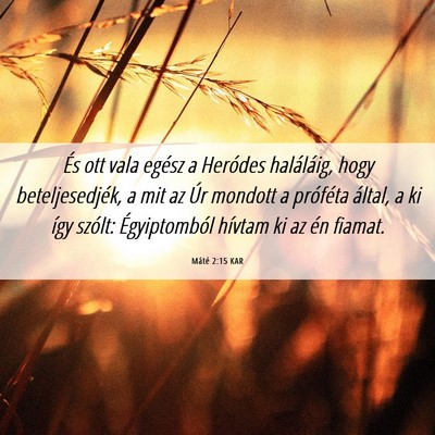Picture 06 - Máté 2:15 KAR - És ott vala egész a Heródes haláláig, hogy - Bible Verse Picture