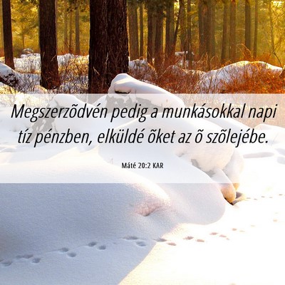 Picture 06 - Máté 20:2 KAR - Megszerzõdvén pedig a munkásokkal napi tíz - Bible Verse Picture