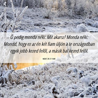 Picture 06 - Máté 20:21 KAR - Õ pedig monda néki: Mit akarsz? Monda néki: - Bible Verse Picture