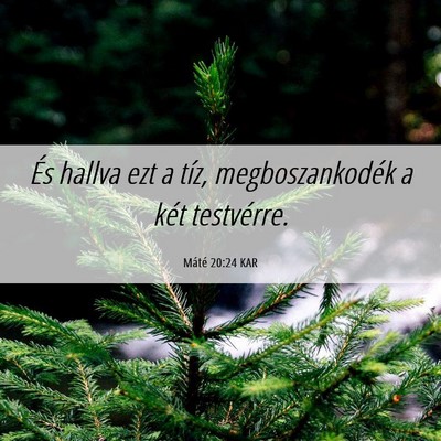 Picture 06 - Máté 20:24 KAR - És hallva ezt a tíz, megboszankodék a két - Bible Verse Picture