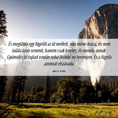 Picture 06 - Máté 21:19 KAR - És meglátva egy fügefát az út mellett, oda - Bible Verse Picture