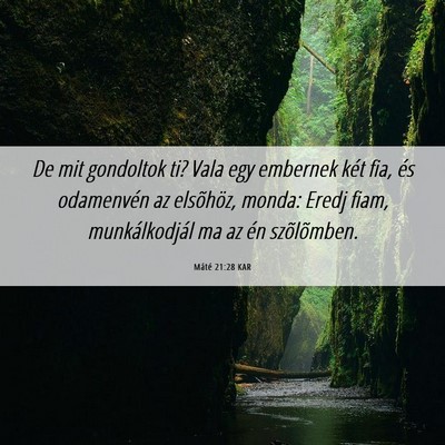 Picture 06 - Máté 21:28 KAR - De mit gondoltok ti? Vala egy embernek két fia, - Bible Verse Picture