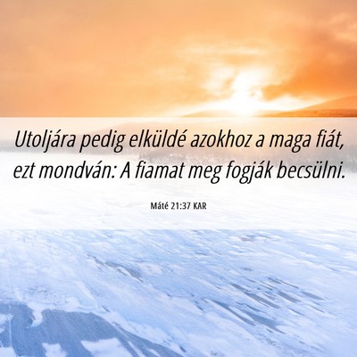 Picture 06 - Máté 21:37 KAR - Utoljára pedig elküldé azokhoz a maga fiát, - Bible Verse Picture