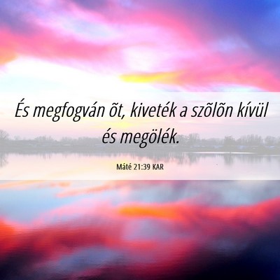 Picture 06 - Máté 21:39 KAR - És megfogván õt, kiveték a szõlõn kívül - Bible Verse Picture