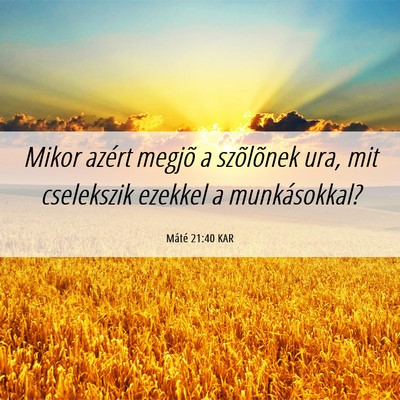 Picture 06 - Máté 21:40 KAR - Mikor azért megjõ a szõlõnek ura, mit - Bible Verse Picture