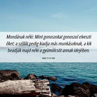 Picture 06 - Máté 21:41 KAR - Mondának néki: Mint gonoszokat gonoszul - Bible Verse Picture