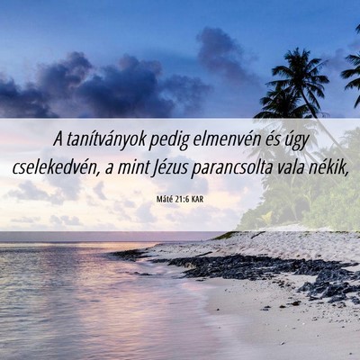 Picture 06 - Máté 21:6 KAR - A tanítványok pedig elmenvén és úgy - Bible Verse Picture