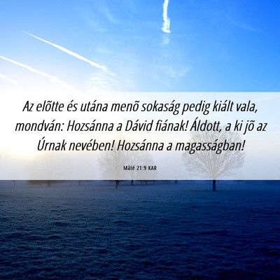 Picture 06 - Máté 21:9 KAR - Az elõtte és utána menõ sokaság pedig kiált - Bible Verse Picture