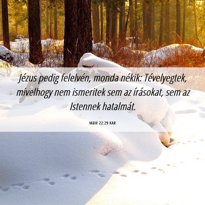 Picture 06 - Máté 22:29 KAR - Jézus pedig felelvén, monda nékik: - Bible Verse Picture