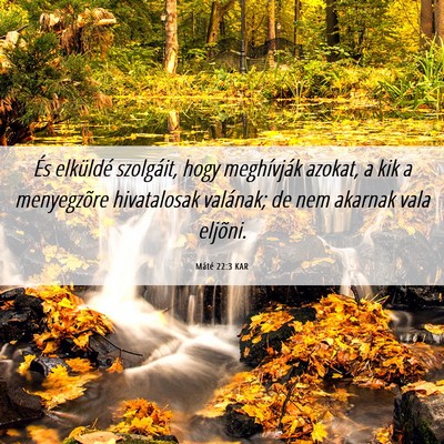 Picture 06 - Máté 22:3 KAR - És elküldé szolgáit, hogy meghívják azokat, - Bible Verse Picture