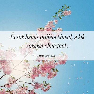 Picture 06 - Máté 24:11 KAR - És sok hamis próféta támad, a kik sokakat - Bible Verse Picture