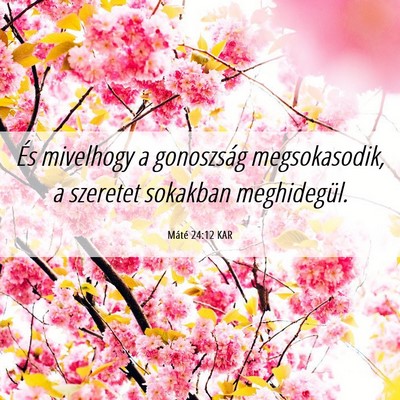 Picture 06 - Máté 24:12 KAR - És mivelhogy a gonoszság megsokasodik, a - Bible Verse Picture