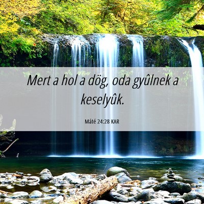 Picture 06 - Máté 24:28 KAR - Mert a hol a dög, oda gyûlnek a - Bible Verse Picture