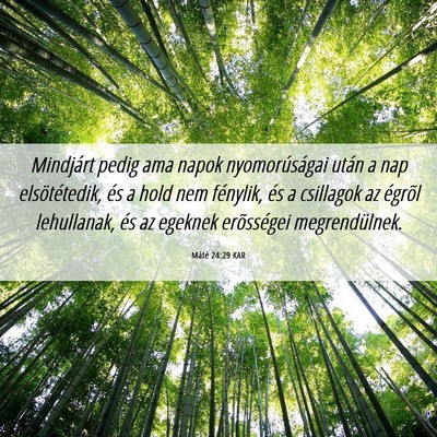 Picture 06 - Máté 24:29 KAR - Mindjárt pedig ama napok nyomorúságai után a - Bible Verse Picture
