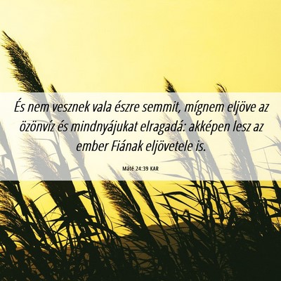 Picture 06 - Máté 24:39 KAR - És nem vesznek vala észre semmit, mígnem - Bible Verse Picture
