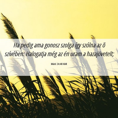 Picture 06 - Máté 24:48 KAR - Ha pedig ama gonosz szolga így szólna az õ - Bible Verse Picture