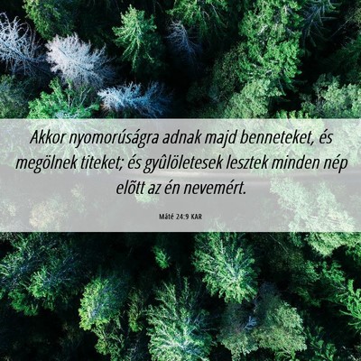 Picture 06 - Máté 24:9 KAR - Akkor nyomorúságra adnak majd benneteket, és - Bible Verse Picture